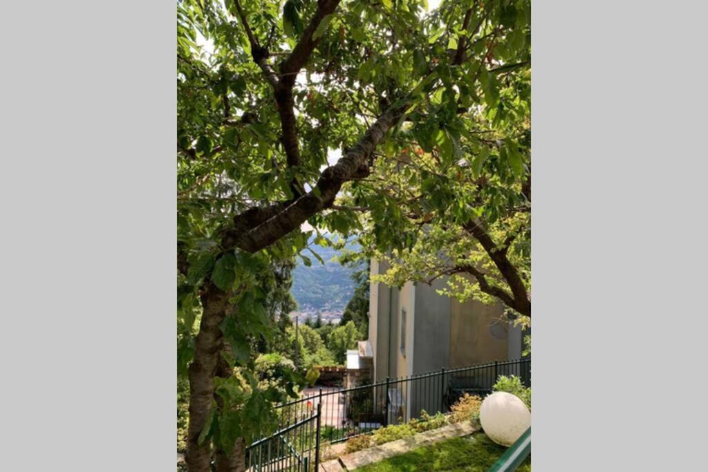 The Cherry Garden House Loft Lusso Apartment Брунате Екстериор снимка